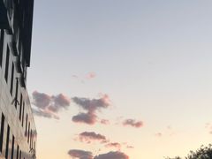-素匠泰茶(三里屯SOHO工体奶茶店)