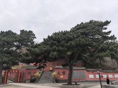 -妙峰山风景名胜区