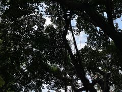 -海心沙亚运公园
