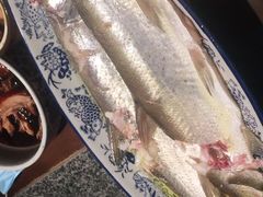 鸡汁白鱼-南京大牌档(之心城店)