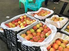-双福水果批发市场