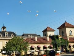 -北京张裕爱斐堡酒庄