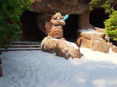 -大连海昌发现王国主题公园