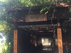 -荷塘月色湿地公园·向阳花洲