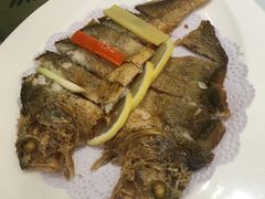 -骏莱海鲜鱼港(五角场店)