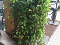 -托斯卡纳烘焙意大利餐厅(五天地店)