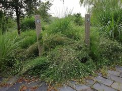 -梁鸿国家湿地公园
