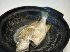 -半岛宴·湛江精品菜(蛇口广场店)