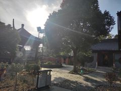 -葛仙湖公园