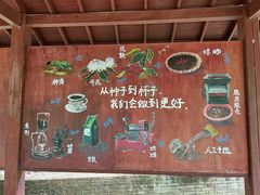 -兴隆隆苑咖啡庄园