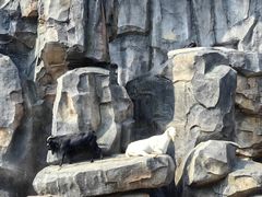 -武汉动物园