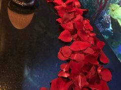 -迪拜帆船酒店海底餐厅