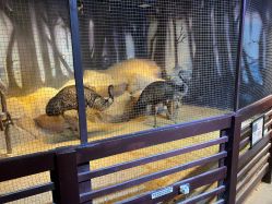 -酷嗒动物文化乐园(cutezoo西溪乐天城店)