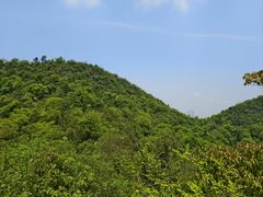 -桃花岭景区