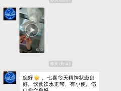 -芭比堂动物医院·犬猫全科·异宠专科(雁塔分院)