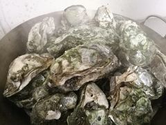 -蚝得喜海鲜(东城店)