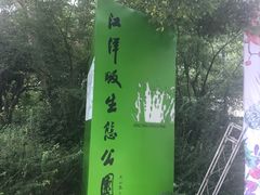 -西湖风景区-江洋畈生态公园