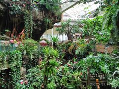 -正佳雨林生态植物园