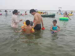 -碧海金沙