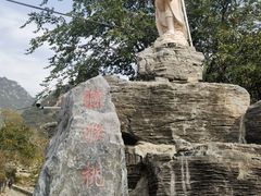 -大岭沟猕猴桃谷风景区