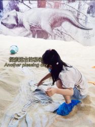 -恐龙探索乐园(磁器口店)