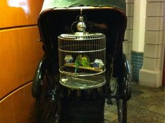 iphone_upload_pic-上海老饭店(北京分店)