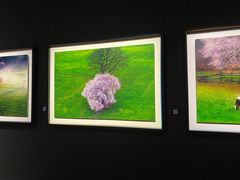 -罗红摄影艺术馆