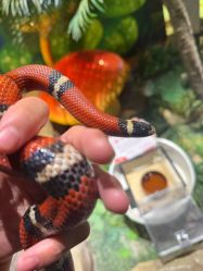 -酷嗒动物文化乐园(cutezoo西溪乐天城店)