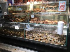 -超级物种(省府店)