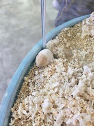 -神奇动物撸宠馆·羊驼·小浣熊·异宠(豫园店)