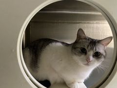 -艾贝尔宠物诊疗