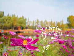 -大召寺明清一条街