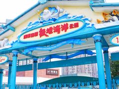 -海合安成都极地海洋公园