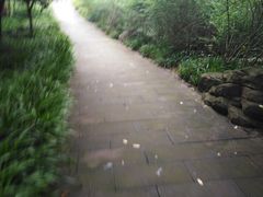 -重庆彩云湖湿地公园