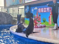 -成都浩海立方海洋公园