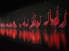 -罗红摄影艺术馆