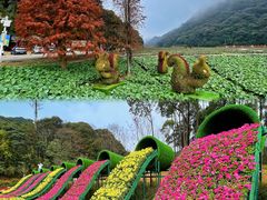 -广州市石门国家森林公园