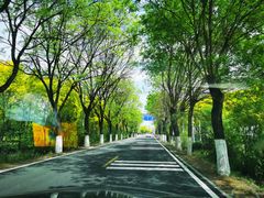 -京东石林峡风景区