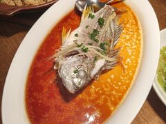 -张家卫·阳江菜·小海鲜(肥婆湾桥店)
