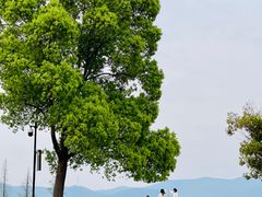-良渚古城遗址公园