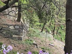 -泰山风景名胜区