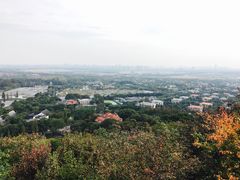 -上海佘山国家森林公园西佘山园