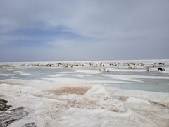 -青海湖国家重点风景名胜区