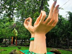 -瑞丽独树成林风景区