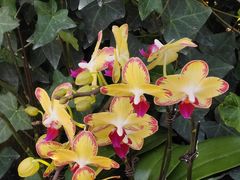 -国家植物园南园