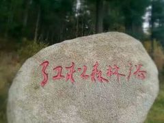 -五营红松林海景区