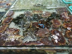 -渔傅·蓝海岸霞浦海鲜(正祥店)