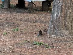 -长春市南湖公园