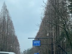 -她说户外烧烤团建(西湖店)