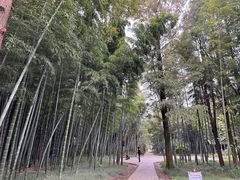 -同里国家湿地公园